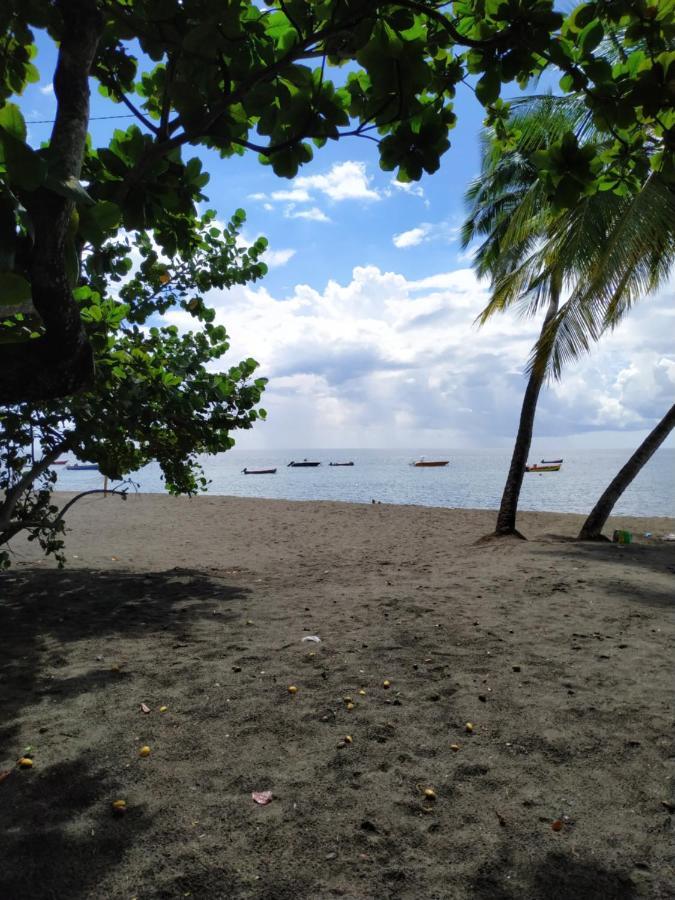 Koule Bo Kay Villa Le Carbet Luaran gambar