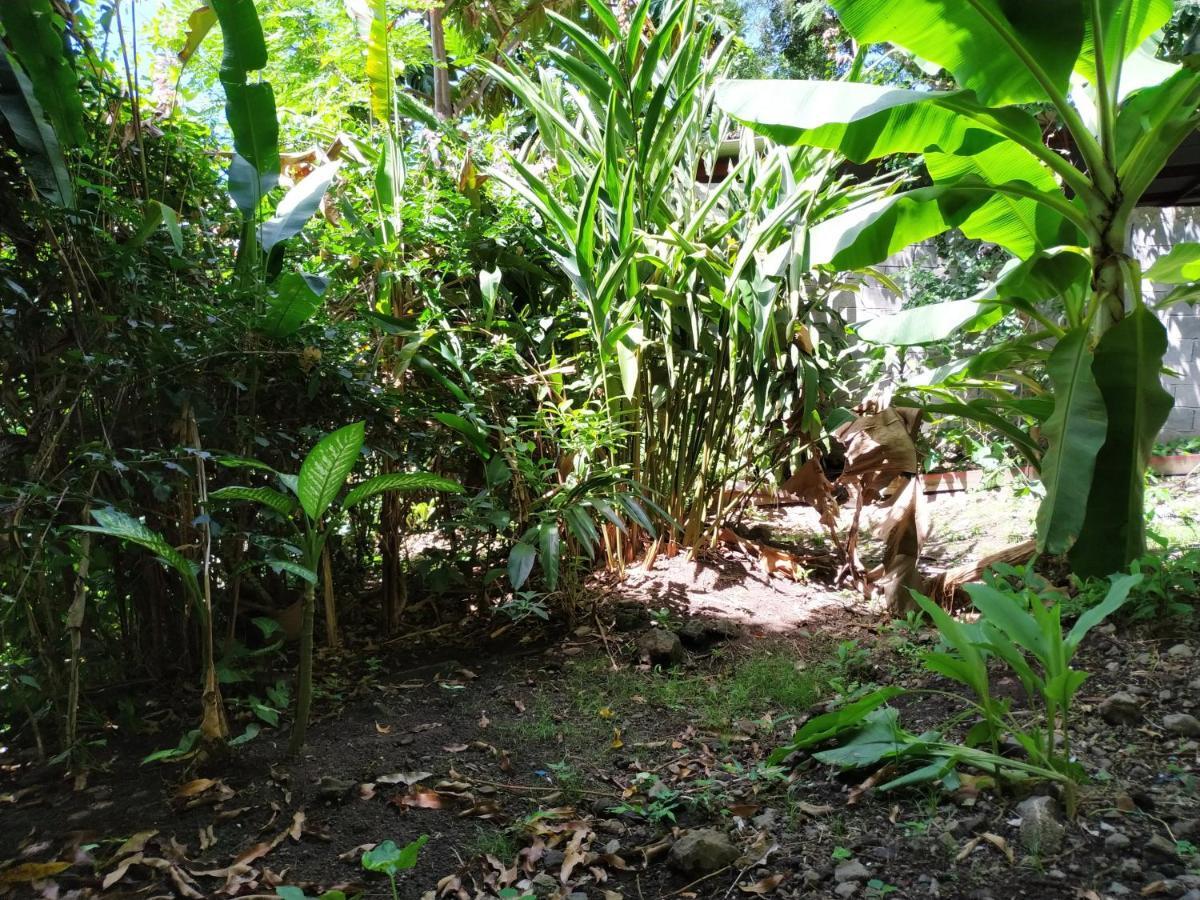 Koule Bo Kay Villa Le Carbet Luaran gambar